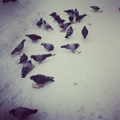 Balade sous la neige