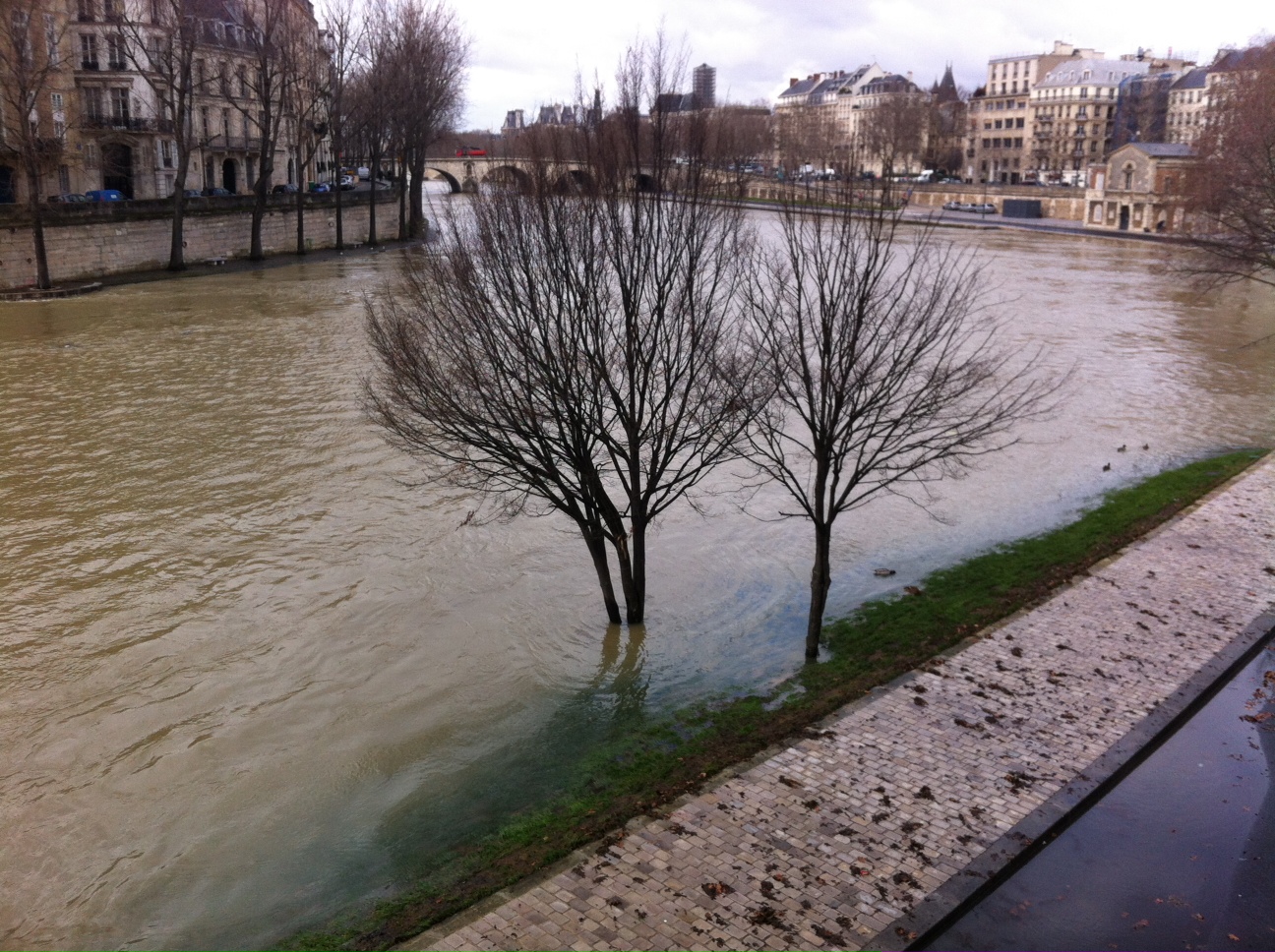 Seine débordée